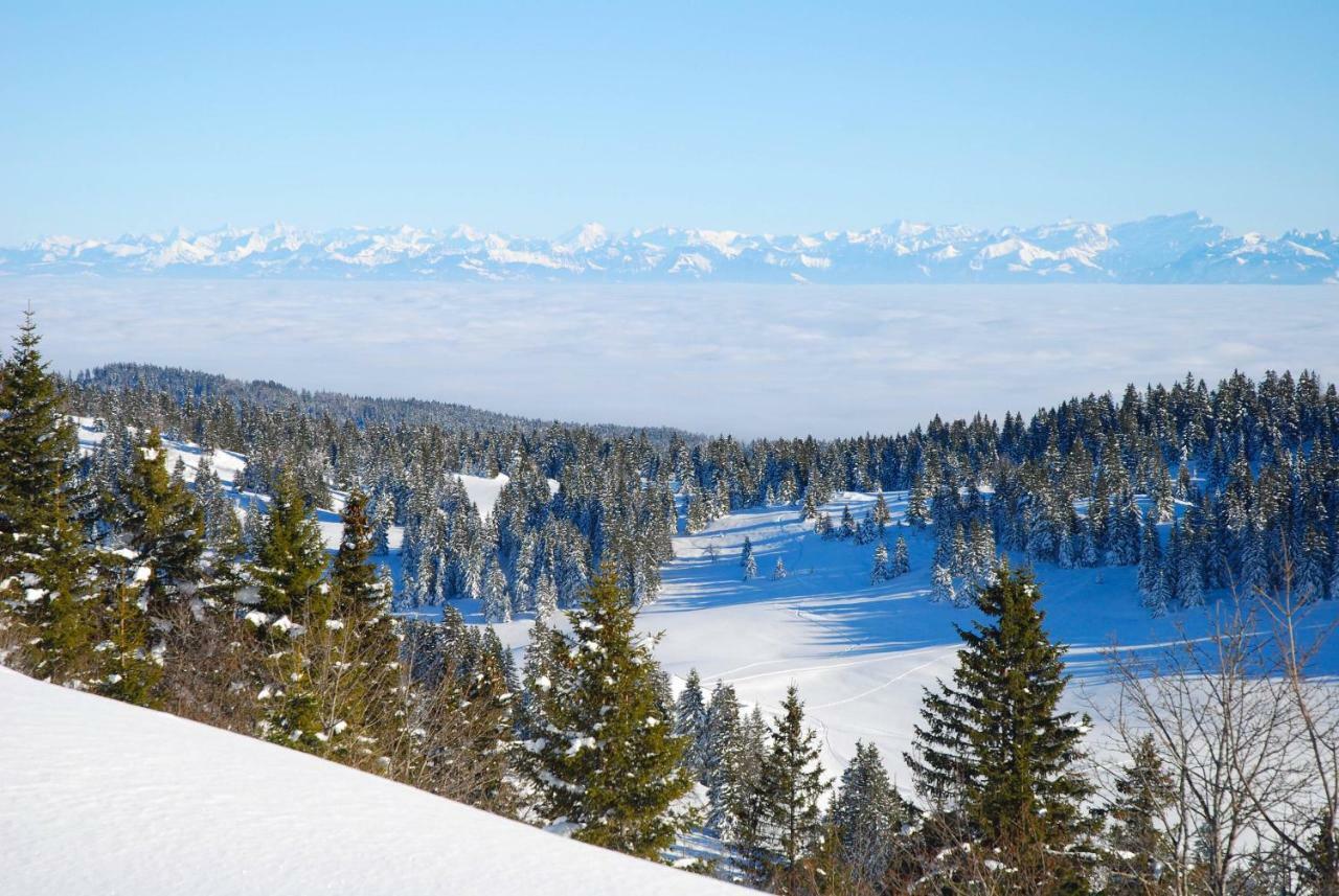 Appartement Neige&soleil *